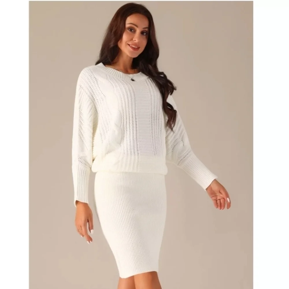 Allegra K Women's Long Batwing Sleeve Sweater Dress Cable Knit Chunky Pullover D